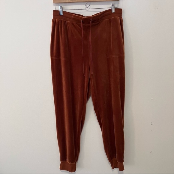 Jane and Delancey Pants - Jane and Delancey Women’s  Large Joggers Brown Velour Loungewear  Goblincore